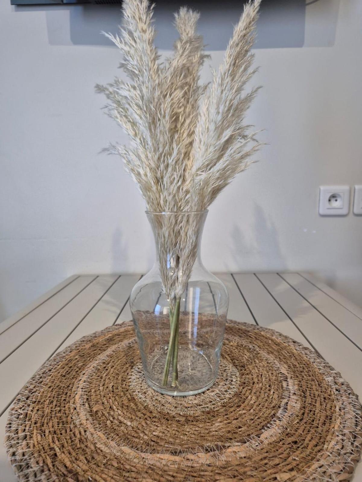 Appartement Vue Mer Guidel Εξωτερικό φωτογραφία